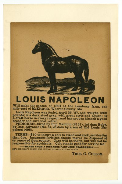 Broadside Advertising Draft Horse Louis Napoleon for Service, 1894 by Unknown